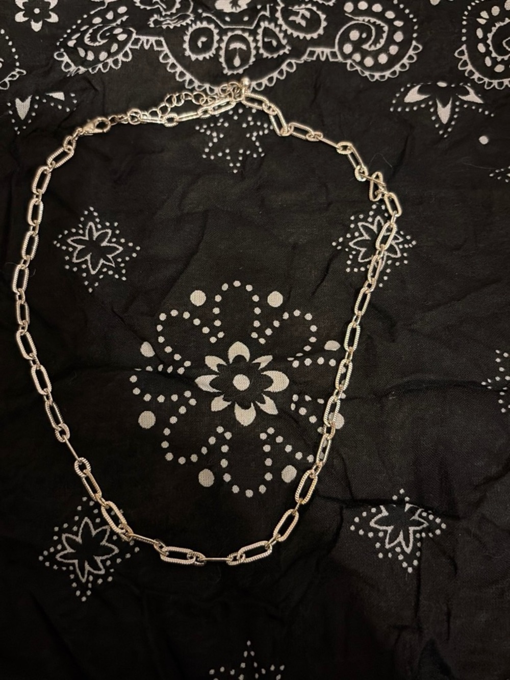 Francesca's Collections Silver Link Necklace